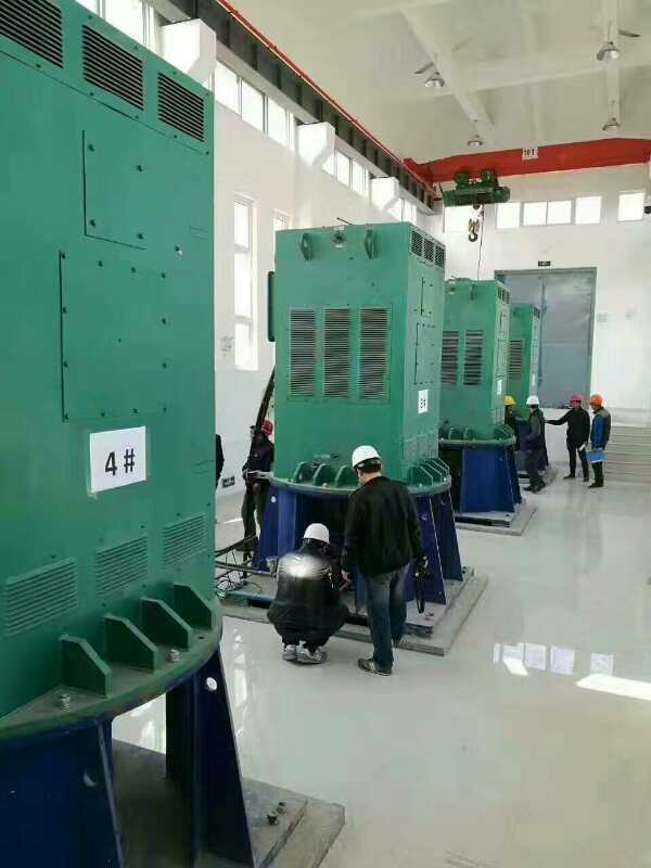 邵阳某污水处理厂使用我厂的立式高压电机安装现场