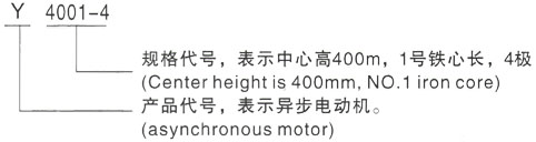 西安泰富西玛Y系列(H355-1000)高压邵阳三相异步电机型号说明