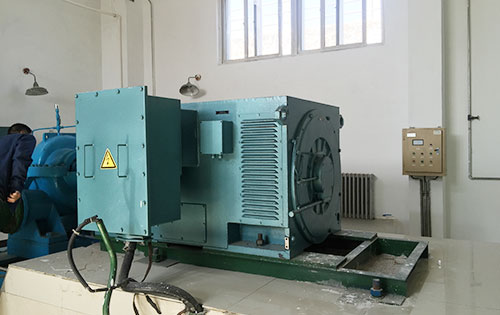 邵阳某水电站工程主水泵使用我公司高压电机一年质保